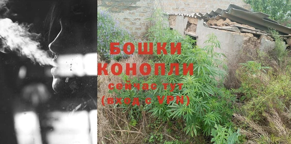 прущий лед Ельня