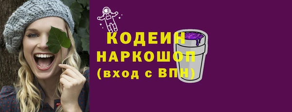 прущий лед Ельня