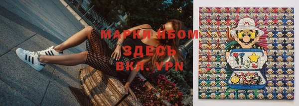 прущий лед Ельня
