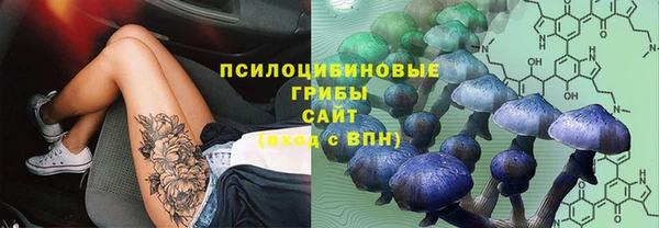 альфа пвп Елизово