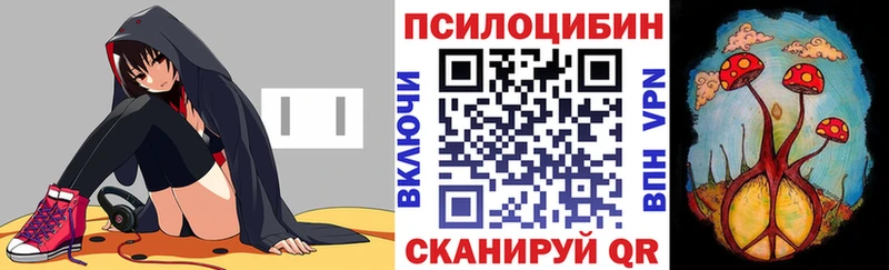 Галлюциногенные грибы Psilocybine cubensis  Купить  Городище 